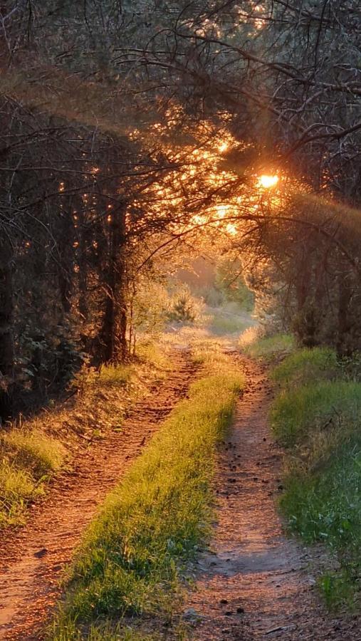 Agroturystyka Ruta Nad Zalewem Siemianowka Villa Luka ภายนอก รูปภาพ