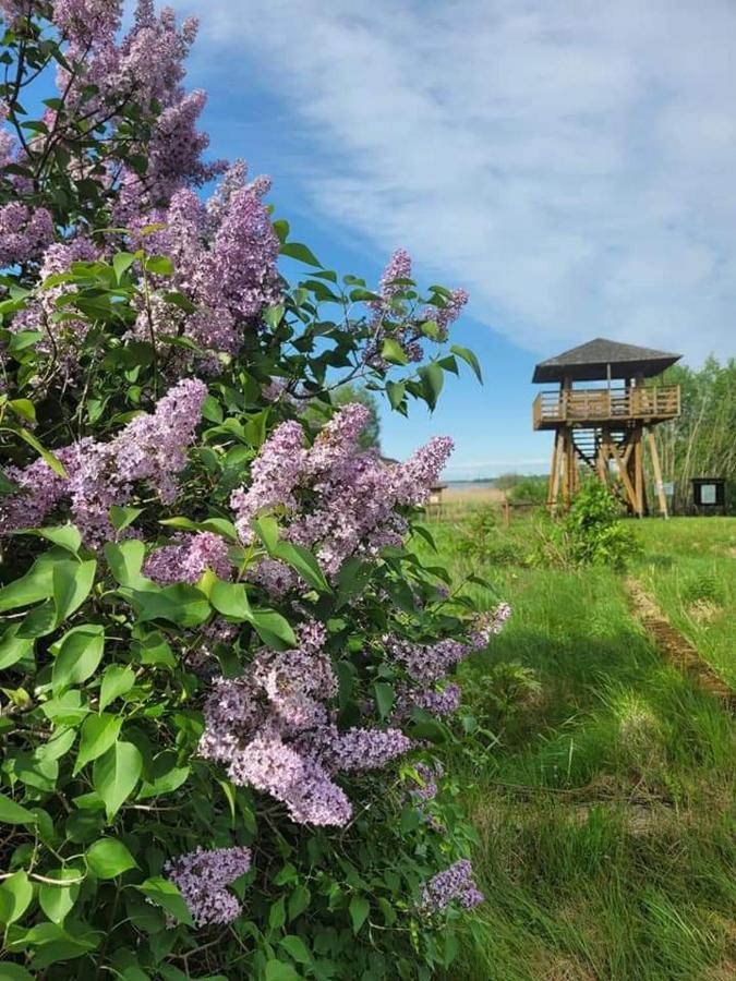 Agroturystyka Ruta Nad Zalewem Siemianowka Villa Luka ภายนอก รูปภาพ